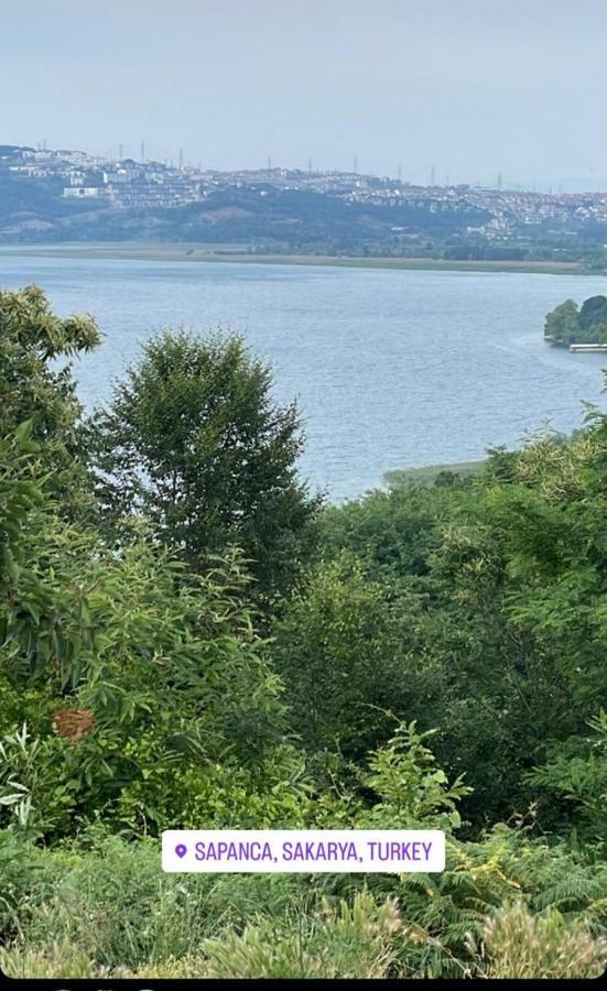 Sapanca Manzara Villa 1 Isitma Havuzlu Екстериор снимка